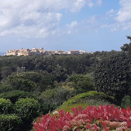 Chez Xavier Apartman Monacia-d'Aullene Kültér fotó